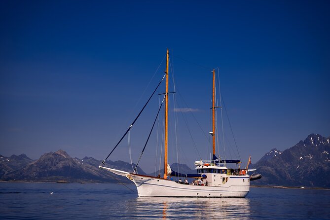 Small Group Luxury Cruise to Trollfjord on a 33m Classic Yacht - Food and warmth: salmon soup, snacks, coffee, and dinner