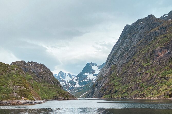 Small Group Luxury Cruise to Trollfjord on a 33m Classic Yacht - Price and value at $352.64 per person for a 5-hour private-feel cruise
