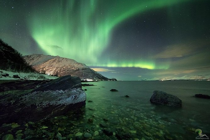Small-Group Northern Lights Tour from Tromso with Photos - Practical reality check: toilets, layers, and long cold stretches