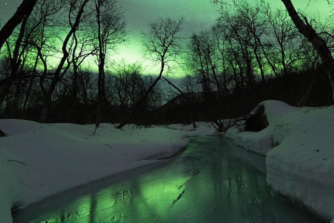 Small-Group Northern Lights Tour from Tromso with Photos - The core experience: an 8-passenger aurora chase with a photographer guide