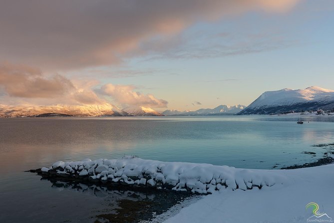 Small-Group Norwegian Fjords Tour from Tromso with Photos - Photo Stops Done Properly: Getting Pro Shots Without Selfies