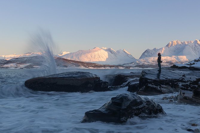 Small-Group Norwegian Fjords Tour from Tromso with Photos - Warm Drinks, Cake, and a Pit Fire Break That Changes the Mood