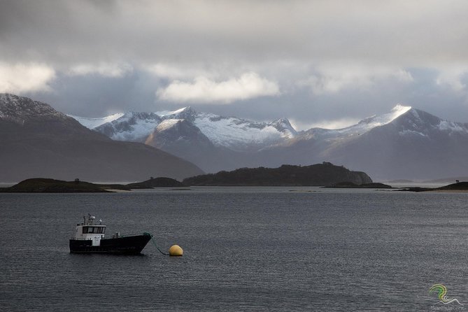 Small-Group Norwegian Fjords Tour from Tromso with Photos - Tromsø Views You Can Actually Enjoy, Not Just Stare At From a Bus