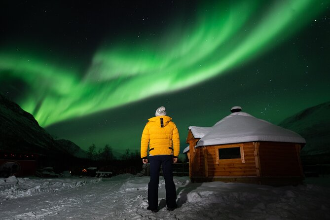 Small Group Tromsø: Northern Lights Chase with Photos and Dinner - Dinner in Tromsø: a real meal, and yes, vegetarian options can work