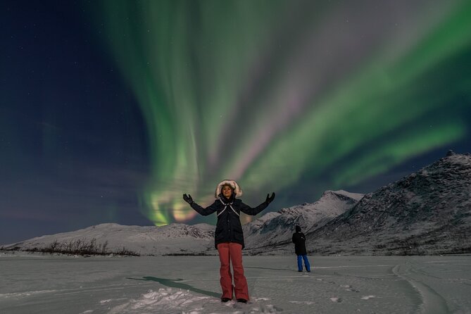 Small Group Tromsø: Northern Lights Chase with Photos and Dinner - Price and value: what $237.32 buys beyond the drive