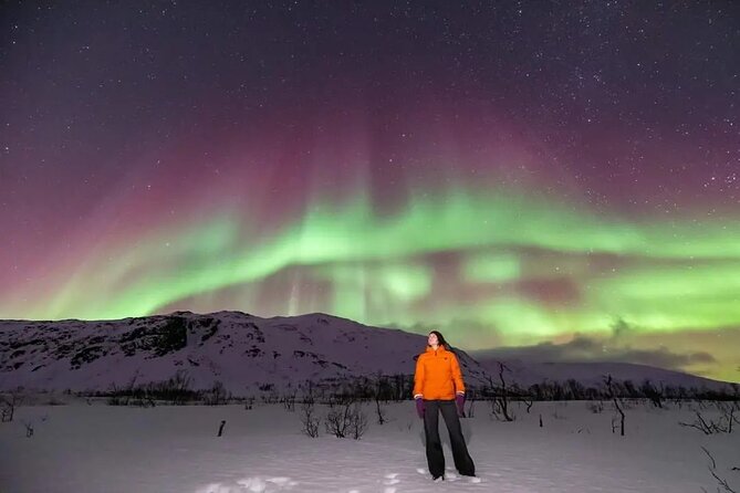 Small Group Tromsø: Northern Lights Chase with Photos and Dinner - What can derail the night (and how to plan anyway)