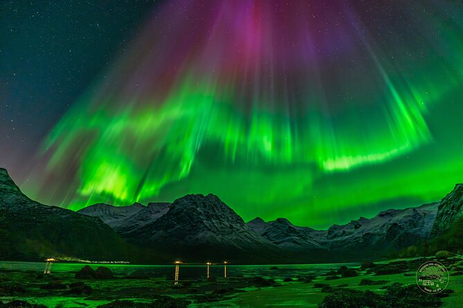 Small Group Van Journey in Search of the Northern Lights - Tromso Fjords first, then the hunt for clear sky