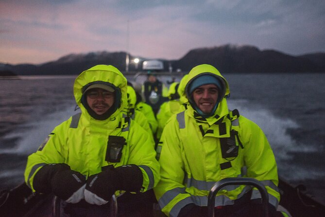 Small Group Whale Watching by RIB - Who this tour suits best, and who might want a different option