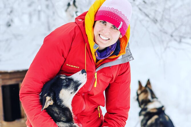 Small Group Wilderness Husky Sledding 2h from Tromsø (car needed) - Your two-person sled: driver, passenger, and the uphill skills
