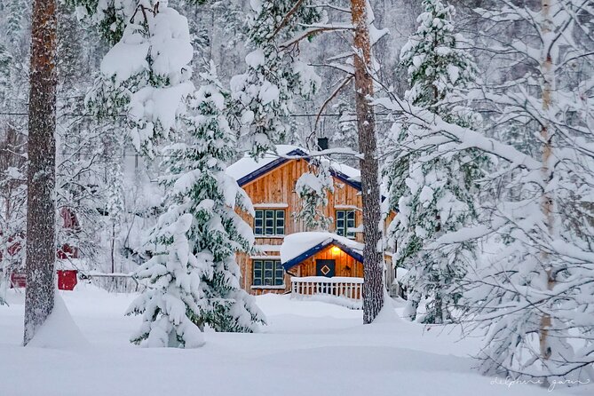 Small Group Wilderness Husky Sledding 2h from Tromsø (car needed) - Price and value: what you really get for about $406 per person