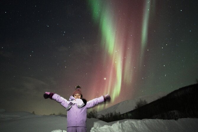 Small Northern Lights Tour Max 8 Guests Pickup and Photography - Thermal suits up to -20°C: what to wear so you don’t freeze out