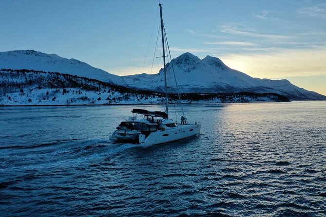 Snorkeling with Orcas In Norway, 4 days All-Inclusive expedition - Safety and wildlife respect: what the crew focus actually feels like
