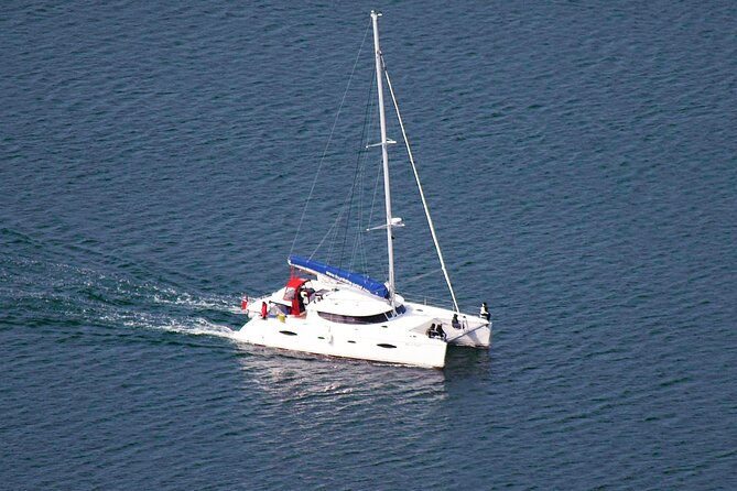 Snorkeling with Orcas In Norway, 4 days All-Inclusive expedition - Snorkeling with warm thermal suits: comfort is part of the wildlife experience