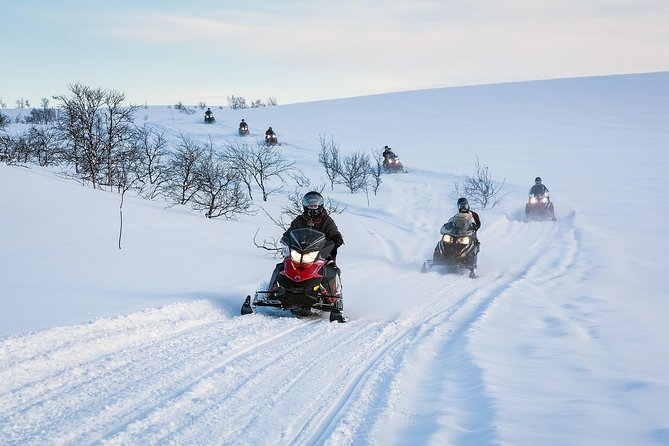 Snowmobile safari in the mountain plateau of Finnmarksvidda - Key highlights to look for