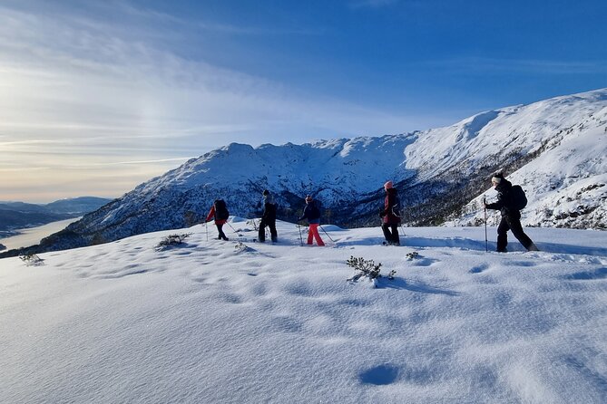 Snowshoe hiking in Bergen - Public tour - Why This Snowshoe Hike Feels Personal (Even on a Public Tour)
