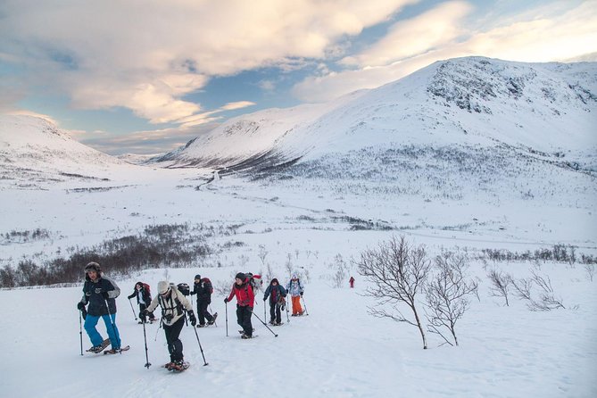 Snowshoe Hill Hike in Tromsø - Key highlights worth planning around