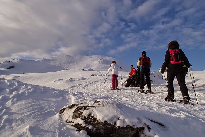 Snowshoe Hill Hike in Tromsø - Why This Tromsø Snowshoe Hill Hike Feels Less Like a Tour