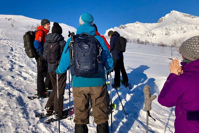 Snowshoe Hill Hike in Tromsø - Gear and Clothing: Snowshoes Included, Winter Layers on You