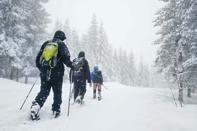 Snowshoe Tour in Winter Wonderland - Oslo - Key things I’d bet on before you book