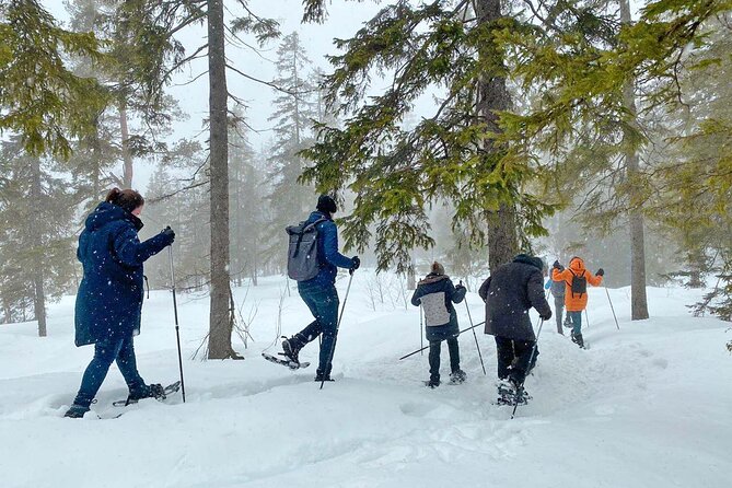 Snowshoe Tour in Winter Wonderland - Oslo - What to Pack for Cold Feet (and Comfortable Legs)