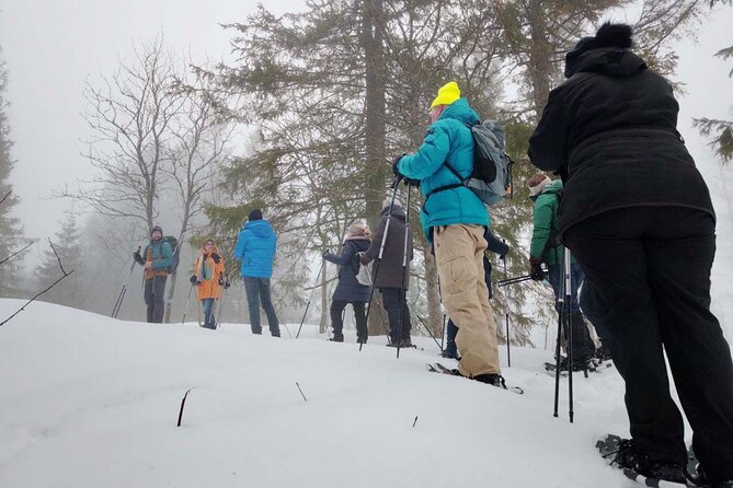 Snowshoe Tour in Winter Wonderland - Oslo - Who This Tour Fits Best, Plus a Reality Check