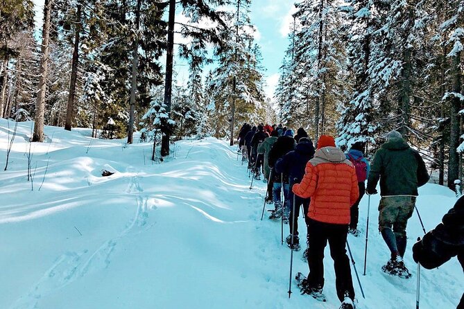 Snowshoe Tour in Winter Wonderland - Oslo - Should You Book This Snowshoe Tour in Winter Wonderland?