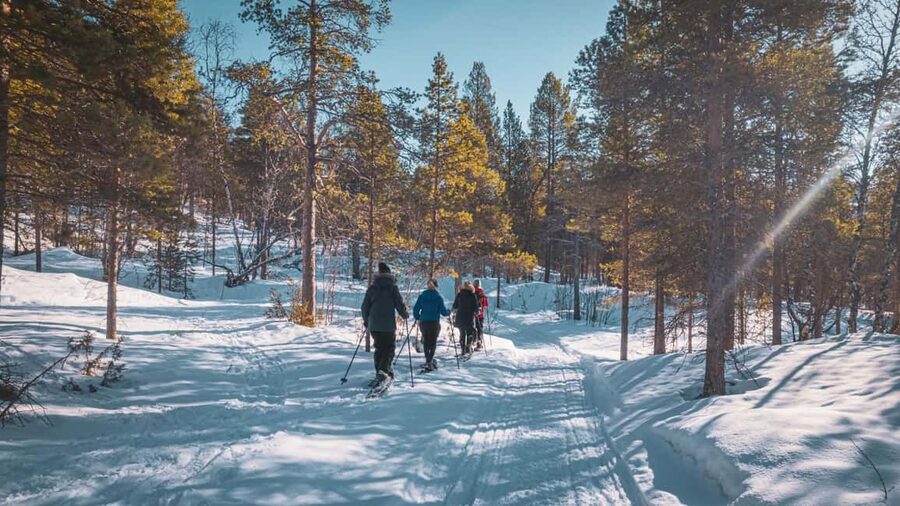 Snowshoeing Adventure to the Enchanting Frozen Waterfall - Coffee, Tea, and Snacks, Plus the Return Back in Real Winter Light