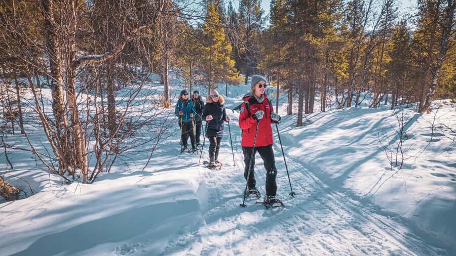 Snowshoeing Adventure to the Enchanting Frozen Waterfall - Transport and Timing: What 4 Hours Really Means