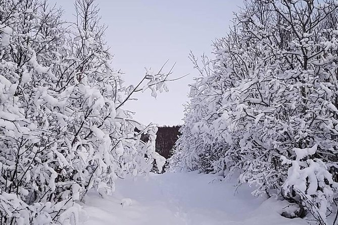 Snowshoeing With A View - Quick hits for Snowshoeing With a View