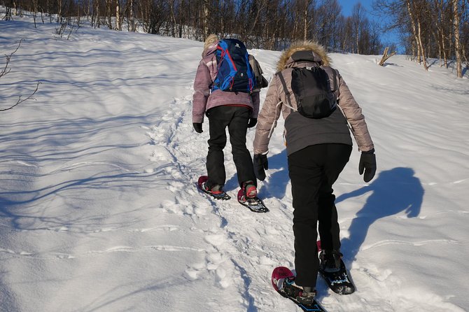 Snowshoeing With A View - Karin, small-group energy, and photo-friendly pacing