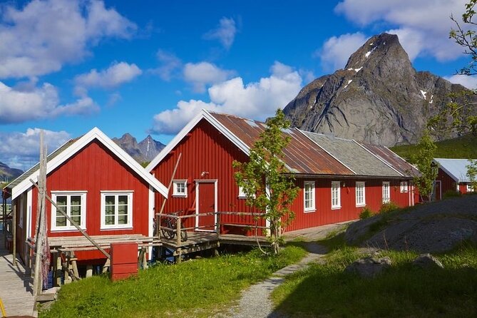 Special Summer Cruise Bus Tour of Lofoten - How the 6-hour route feels from Leknes