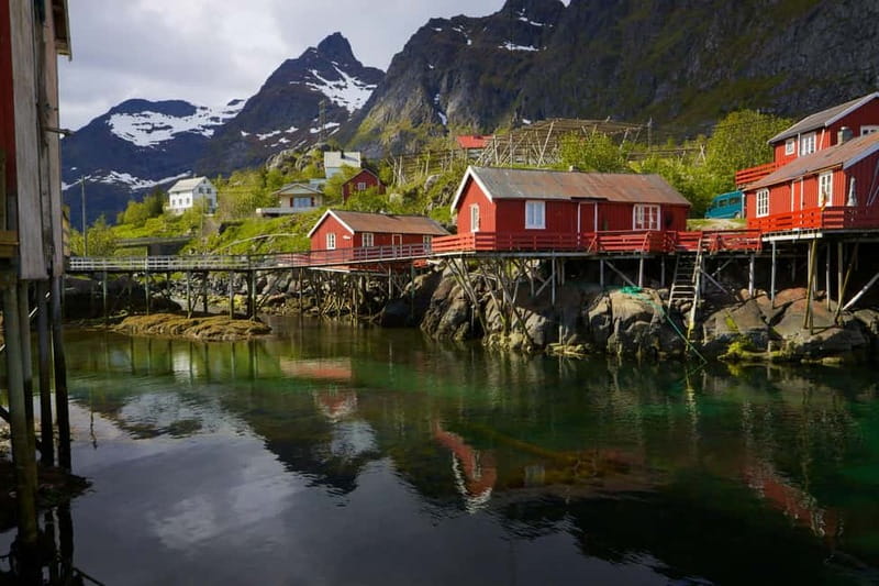 Special Summer Cruise Guided Tour of Lofoten - Gravdal route: beaches and the Reine area classics