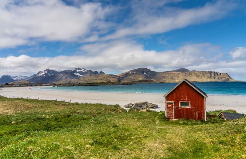 Special Summer Cruise Guided Tour of Lofoten - Meeting Lofoten Lights at the pier: how timing affects your day