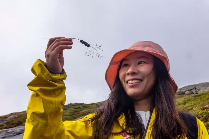 Stavanger: Kjerag Summer Hike with Packed Lunch - Key things that make this hike special