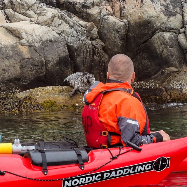 Stavanger: Lysefjord Kayak Safari (Waterfalls & Pulpit Rock) - Lunch in the Fjord: Secluded Views and a Smart Food Plan