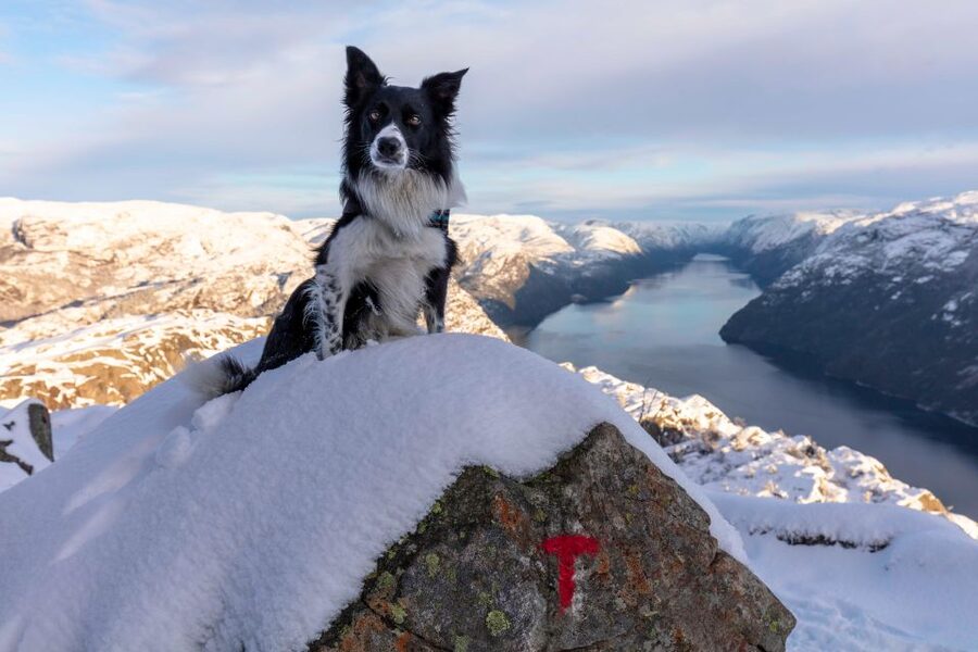 Stavanger: Preikestolen Winter Hike + Hot Lunch - Key things I’d plan around