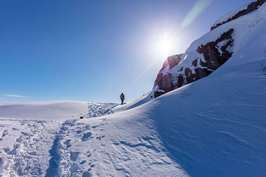 Stavanger: Preikestolen Winter Hike + Hot Lunch - Should you book this winter Preikestolen hike?
