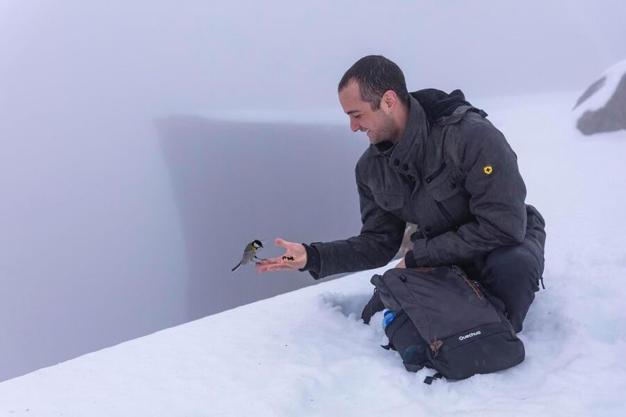 Stavanger: Preikestolen Winter Hike + Hot Lunch - The guided winter hike: pace, route choices, and staying safe on icy ground