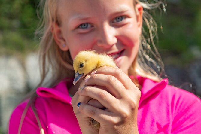 Steim Farm Experience in Vik, Norway - Key highlights you will care about