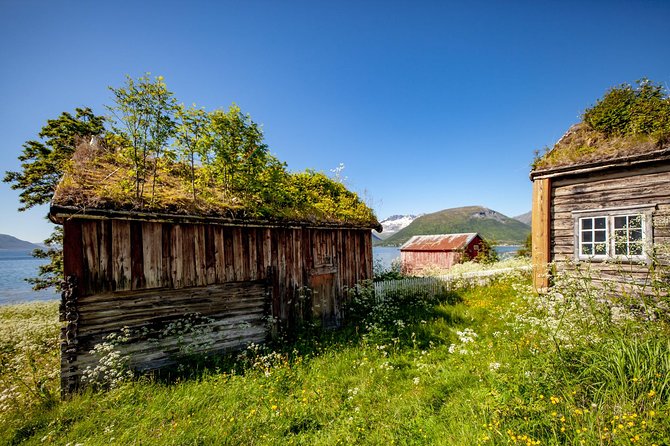 Summer Fjord Road Trip with Citizen Science with Wandering Owl - Tromsø, the coast, and the pace that makes this tour feel worth it