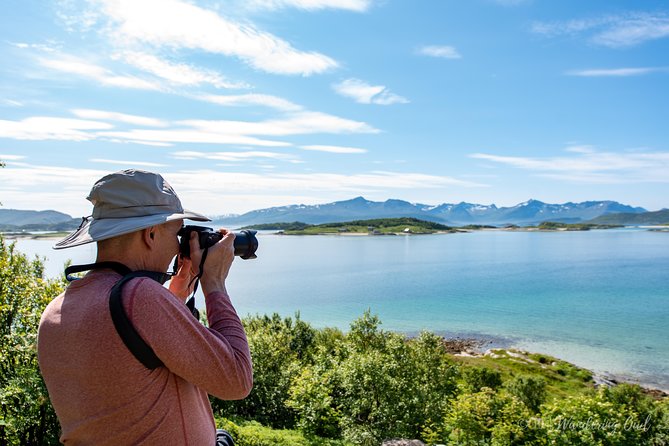 Summer Fjord Road Trip with Citizen Science with Wandering Owl - Weather, daylight, and what to pack for summer Arctic road trips