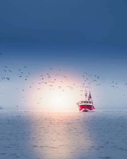 Svolvær and Henningsvær Sightseeing and History Tour - Professional photography guide: why it helps even if you are not a photographer