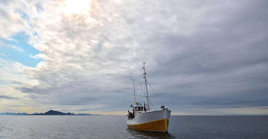 Svolvær: Fishing Trip on the Lofoten Sea - Key Highlights Worth Booking For
