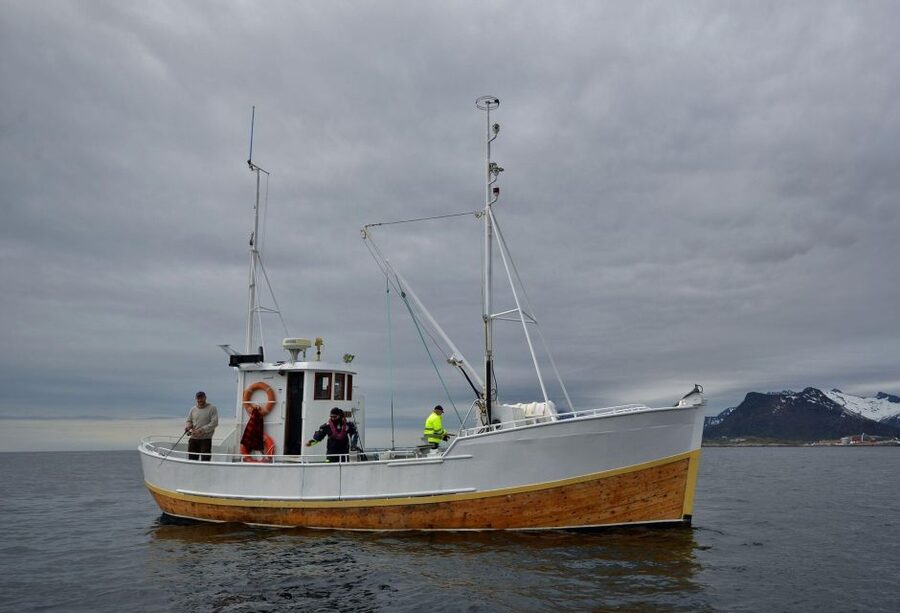 Svolvær: Fishing Trip on the Lofoten Sea - Svolvær Getting Ready for MS Luna at Torget