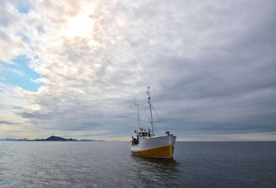 Svolvær: Fishing Trip on the Lofoten Sea - What You Can Catch in Lofoten Waters (And Why Season Matters)