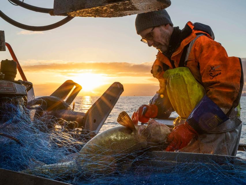 Svolvær: Fishing Trip on the Lofoten Sea - Big Views, Possible Wildlife, and the Story Side of Lofoten