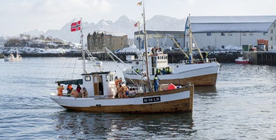 Svolvær: Fishing Trip on the Lofoten Sea - The 3-Hour Flow: Fishing Lessons, Safety Briefing, and Real Time on the Water