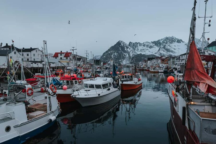 Svolvær: Lofoten Scenic Sightseeing Tour: Half day tour - Key highlights I’d zero in on