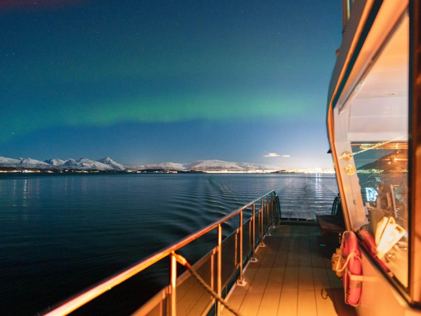 Svolvær: Northern Lights and Full Steam Cruise with Tasting - Key things to know before you go