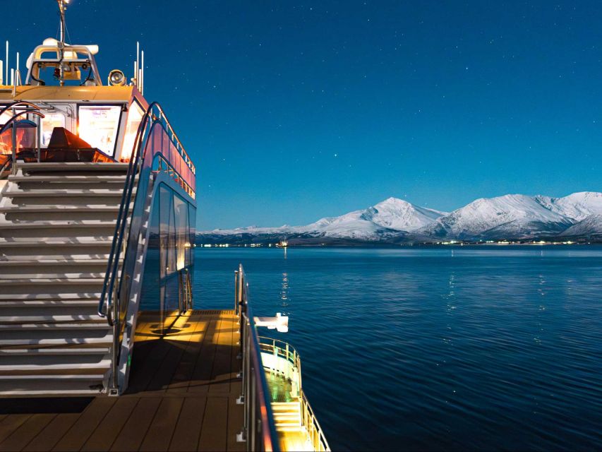 Svolvær: Northern Lights and Full Steam Cruise with Tasting - Norwegian caviar tasting: small bite, clear connection to the sea